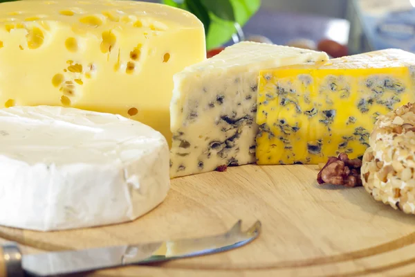 Cheese various assortment on wooden boards — Stock Photo, Image