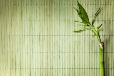 Bambu hasır arka plan