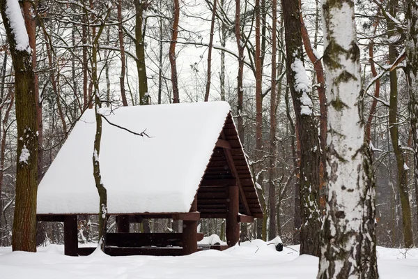 Winter forest en houten huis in sneeuw — Stockfoto