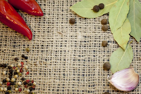 Aroma kryddor som kanel anis vanilj och kryddnejlika på jute — Stockfoto