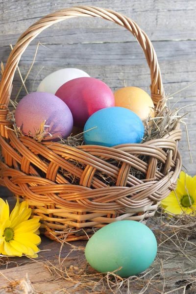 Colorful easter eggs in the basket closeup — Stock Photo, Image