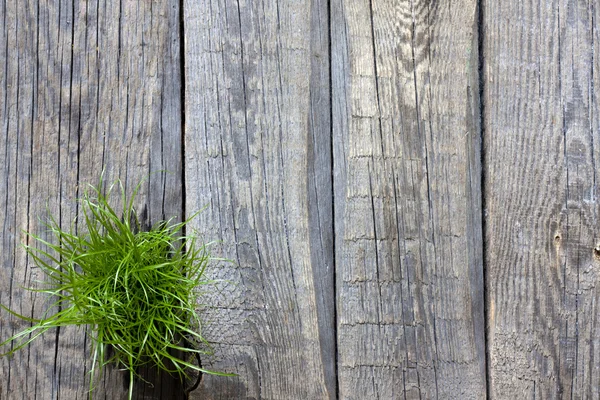 Groene gras en planken abstracte achtergrond — Stockfoto