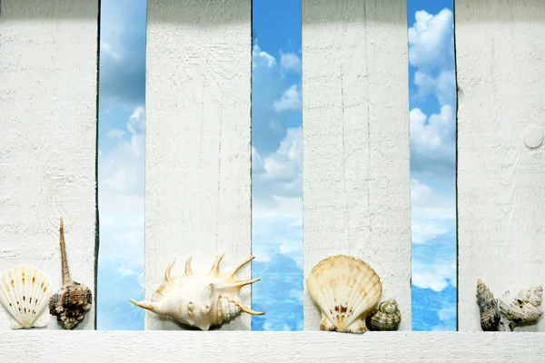 Schelpen op zee op het hek over strand abstracte achtergrond concept — Stockfoto
