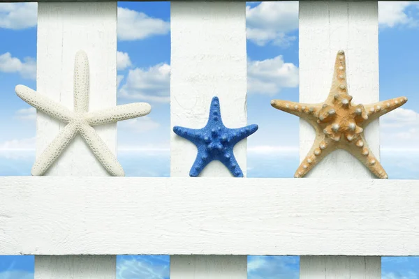 Starfish no mar na praia em pranchas vintage fundo marinho — Fotografia de Stock