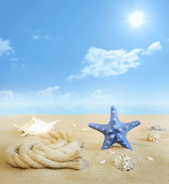 Estrella de mar en la playa en la arena con conchas concepto de fondo — Foto de Stock