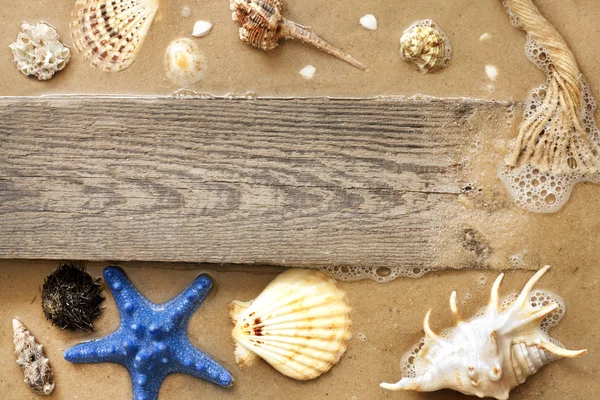 Морские звезды и раковины на пляже с пустой концепцией доски — стоковое фото