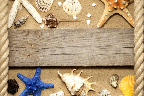 Rozgwiazdy i muszle na plaży z pustej planszy koncepcja tło — Zdjęcie stockowe