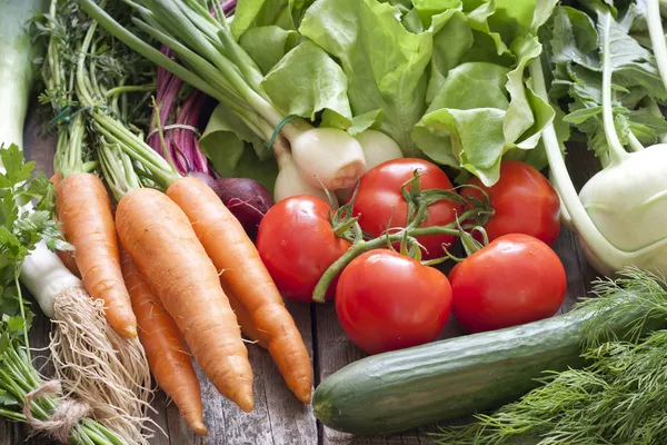 Beaucoup de légumes frais biologiques de printemps sur planches concept de jardinage — Photo