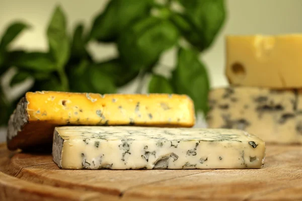 Various types of cheese closeup — Stock Photo, Image