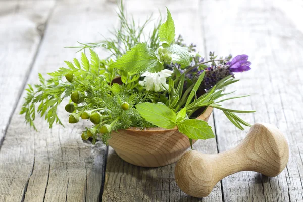 Friss fűszernövények és fűszerek a Vértes szüreti fa táblák — Stock Fotó