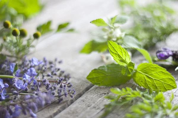 Verse kruiden op vintage planken aromatherapie achtergrond concept — Stockfoto