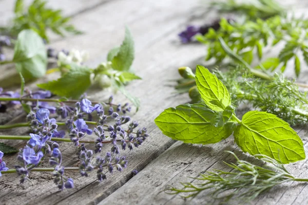 Verse kruiden op vintage planken aromatherapie achtergrond concept — Stockfoto