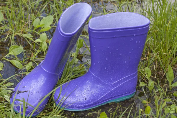 Wellingtons in spring rainy day on green grass — Stock Photo, Image