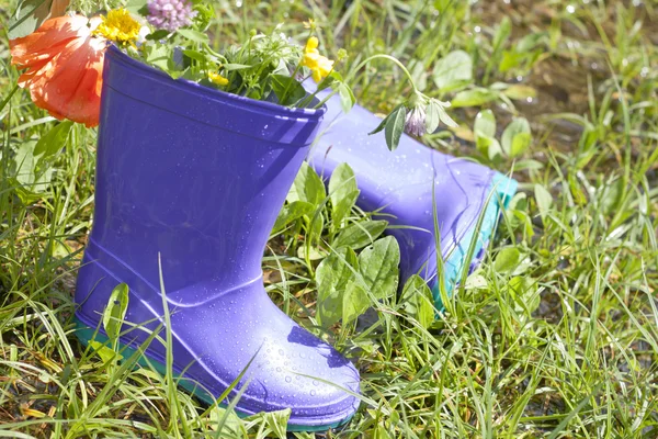 Wellingtons na primavera dia chuvoso na grama verde — Fotografia de Stock