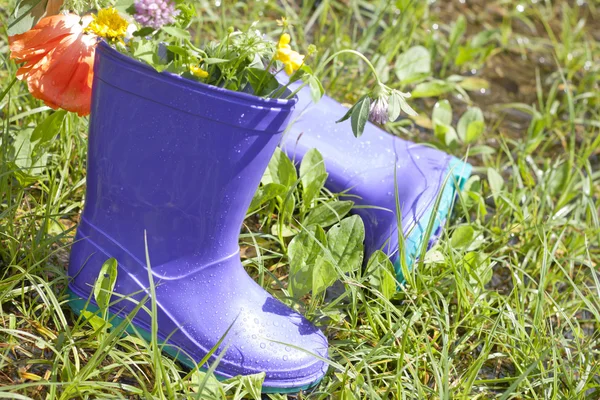 Wellingtons in spring rainy day on green grass — Stock Photo, Image