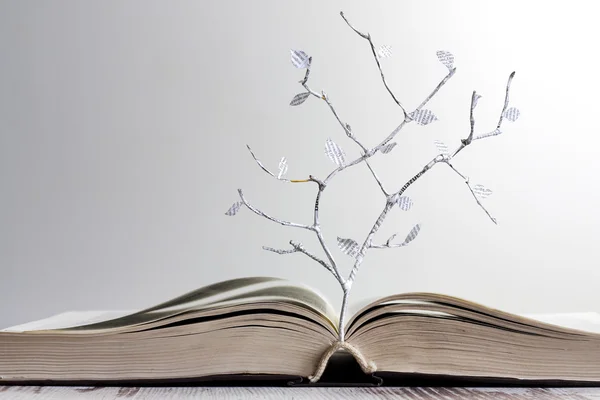 Libro abierto y letras de papel árbol concepto creativo — Foto de Stock