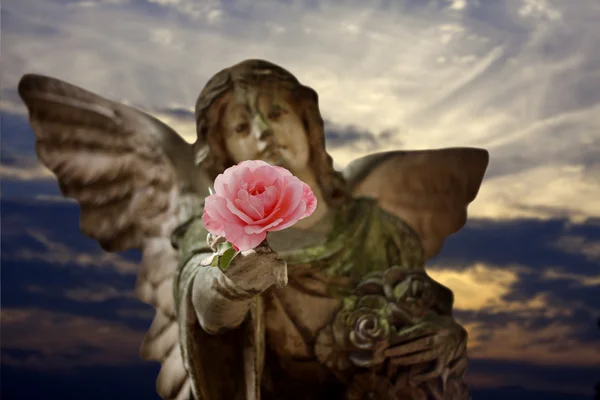 Ángel dando rosa signo de amor concepto — Foto de Stock