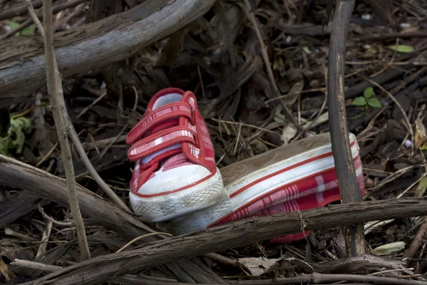 Ormandaki inceleme ve soruşturma çocuk ayakkabıları — Stok fotoğraf