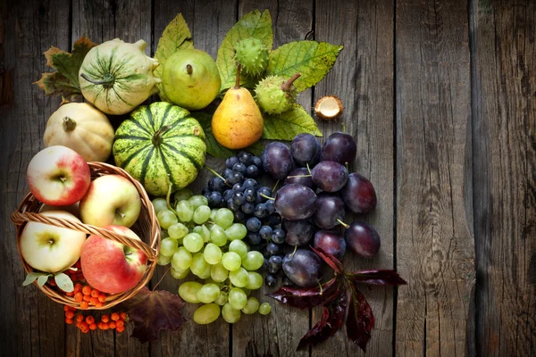 Groenten en fruit in de herfst seizoen op vintage houten planken — Stockfoto