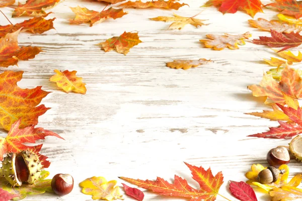 Hojas de otoño en pizarras blancas borde de fondo — Foto de Stock