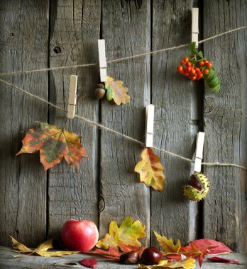 sonbahar yaprakları vintage kurulları ile soyut