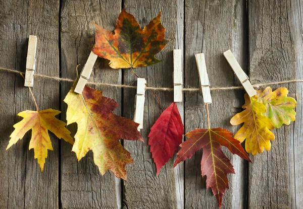 Herbstabstrakt mit Blättern auf Vintage-Brettern — Stockfoto