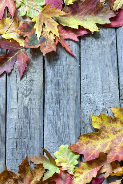 Autumn listowie na tle starodawny deski — Zdjęcie stockowe