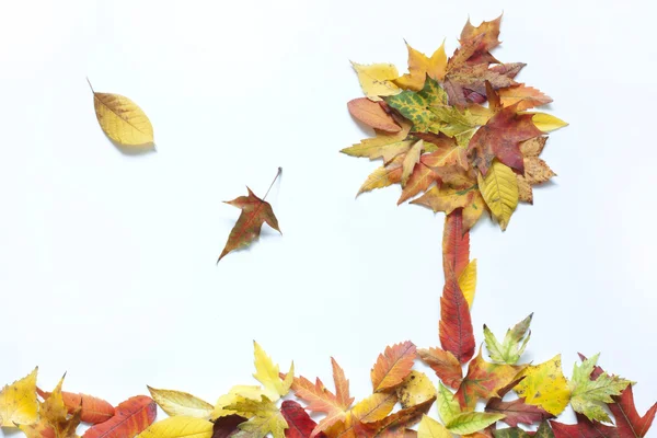 Herfstbladeren abstracte met boom op witte achtergrond — Stockfoto