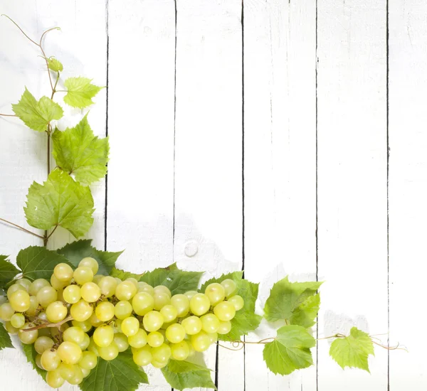 Druiven en bladeren op vintage witte planken achtergrond — Stockfoto