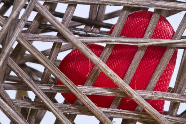 Καρδιά σε κλουβί Αγίου Βαλεντίνου s ημέρα δημιουργική αφηρημένη έννοια — Φωτογραφία Αρχείου