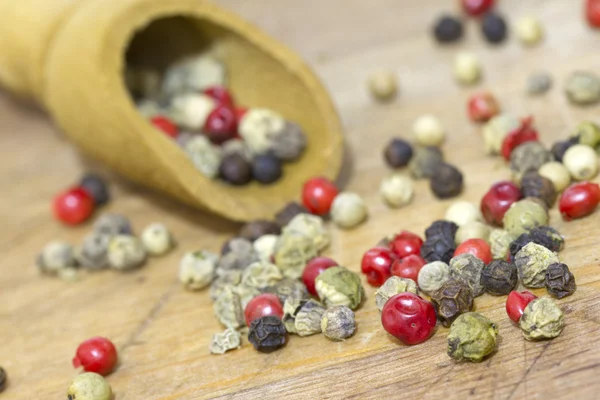 Pepper dried spice closeup — Stock Photo, Image