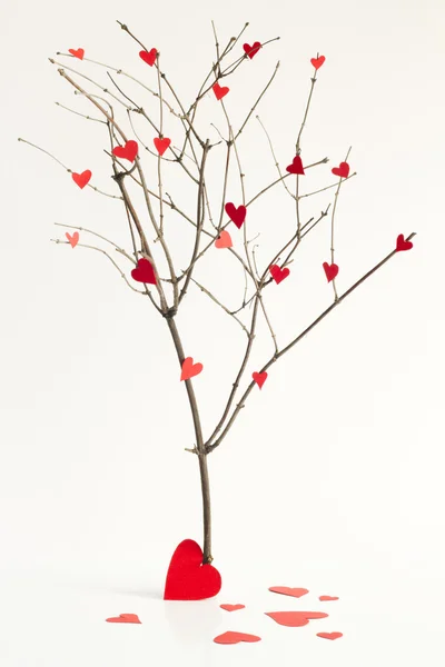 Cuori di carta sull'albero segno astratto dell'amore — Foto Stock