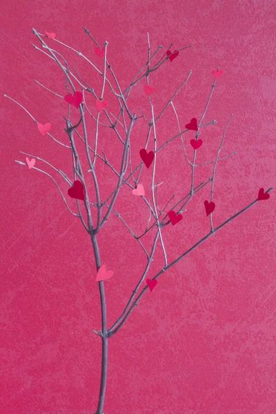 ツリー上の紙の心抽象的な愛のしるし — ストック写真