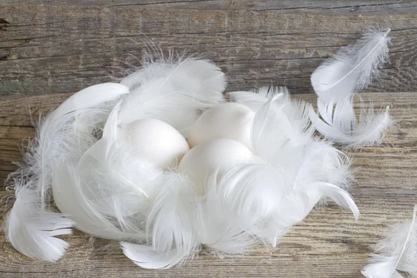 Анотація великодніх органічних яєць на вінтажних дошках у курнику — стокове фото