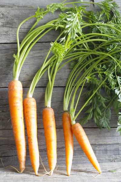 Zanahorias orgánicas frescas en tablas de madera — Foto de Stock