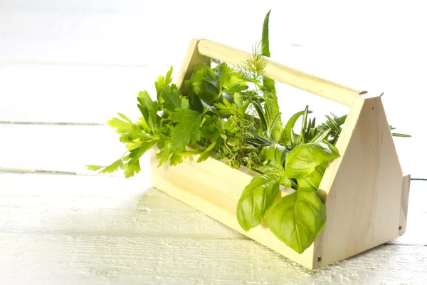 Variety of fresh herbs on white boards — Stock Photo, Image