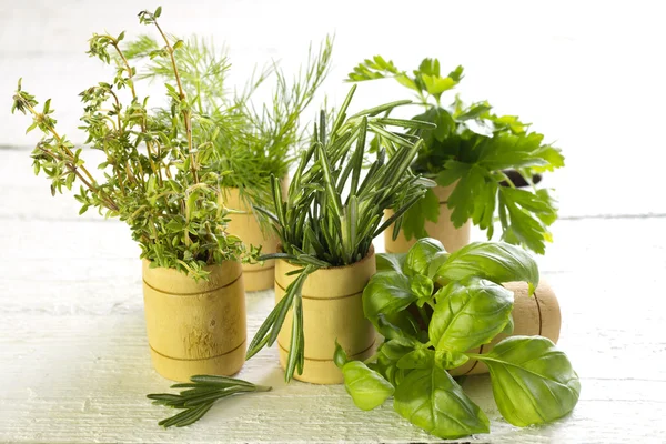 beyaz tahtalar üzerinde taze otlar çeşitli