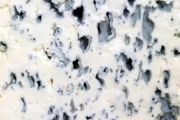 Blauwe kaas achtergrond textuur close-up — Stockfoto