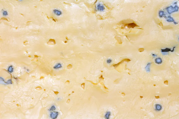 Blue cheese background texture closeup — Stock Photo, Image