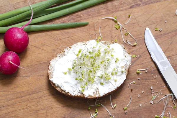 Radish sprouts on the sandwich healthy food closeup — Stock Photo, Image