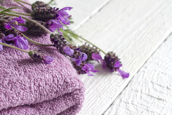 Lavendel Kosmetik Wellness Körperpflege abstrakte Komposition — Stockfoto