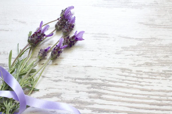 Lavendel op vintage houten planken achtergrond — Stockfoto