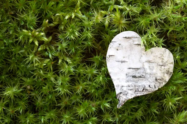 Yeşil Yosunların Arka Planında Huş Ağacından Kesilmiş Kalp — Stok fotoğraf