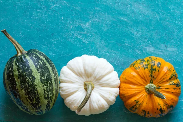 Autumn Three Pumpkins Turquoise Background Concept Thanksgiving Day — Stock Photo, Image