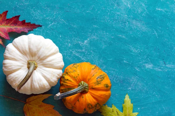 Höstens Sammansättning Pumpor Och Blad Turkos Bakgrund Begreppet Thanksgiving Dag — Stockfoto