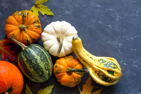 Composizione Autunno Zucche Foglie Sfondo Scuro Concetto Giorno Del Ringraziamento — Foto Stock