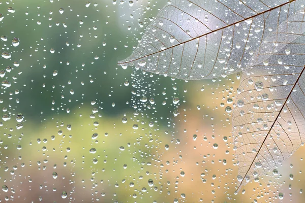 Fondo Otoñal Gotas Lluvia Sobre Cristal Con Hojas Transparentes —  Fotos de Stock