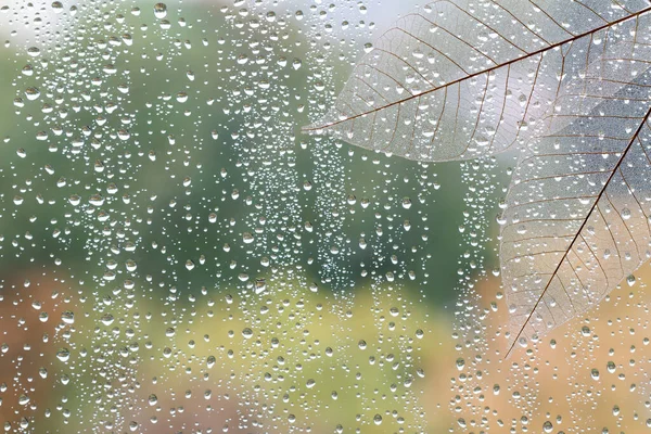 Sonbahar Arkaplanı Cam Üzerindeki Saydam Yapraklı Yağmur Damlaları — Stok fotoğraf