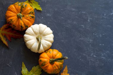 Koyu arkaplanda balkabağı ve yaprakların sonbahar kompozisyonu, Şükran Günü konsepti