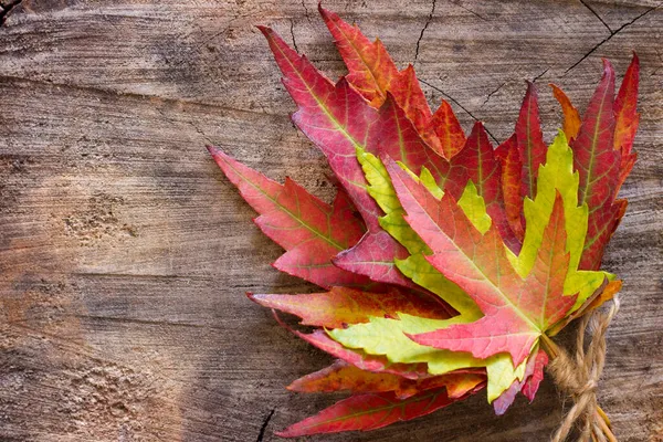 木の背景に葉の秋の花束 — ストック写真